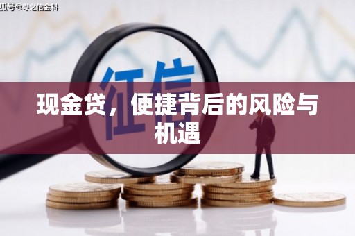 南市现金贷，便捷背后的风险与机遇