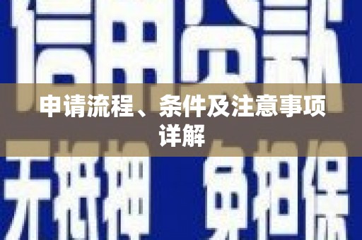 南市申请流程、条件及注意事项详解