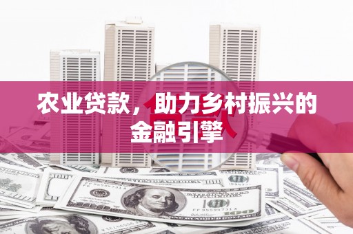 南市农业贷款，助力乡村振兴的金融引擎