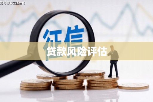 南市贷款风险评估