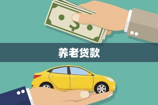 南市养老贷款