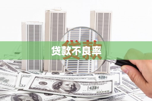 南市贷款不良率