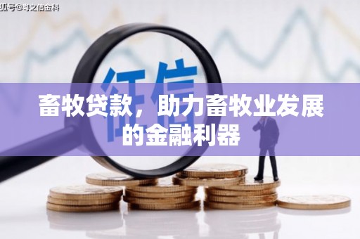 南市畜牧贷款，助力畜牧业发展的金融利器