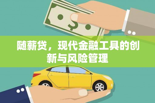 南市随薪贷，现代金融工具的创新与风险管理