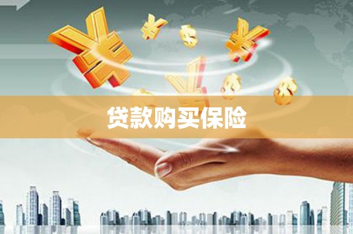 南市贷款购买保险