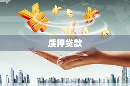 南市质押贷款