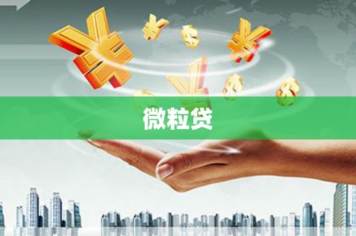 南市微粒贷