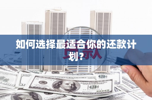 南市如何选择最适合你的还款计划？