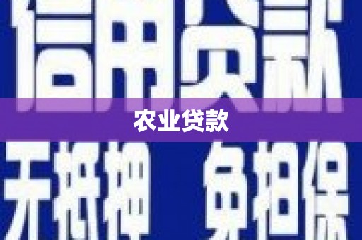 南市农业贷款