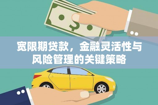 南市宽限期贷款，金融灵活性与风险管理的关键策略