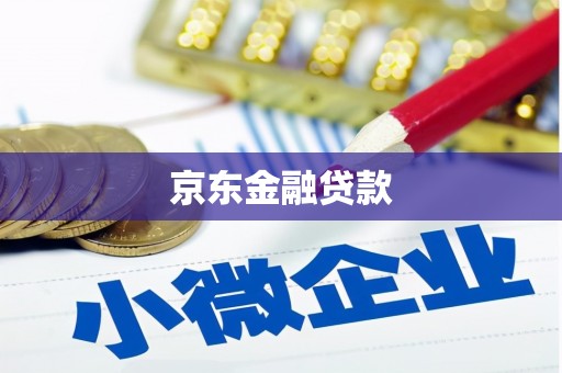 南市京东金融贷款