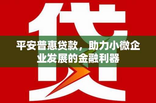 南市平安普惠贷款，助力小微企业发展的金融利器