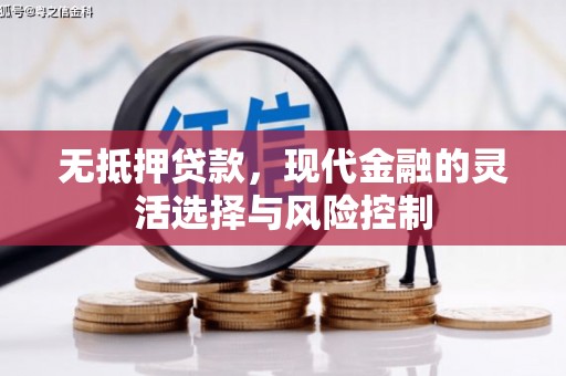 南市无抵押贷款，现代金融的灵活选择与风险控制