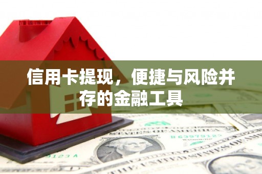 南市信用卡提现，便捷与风险并存的金融工具