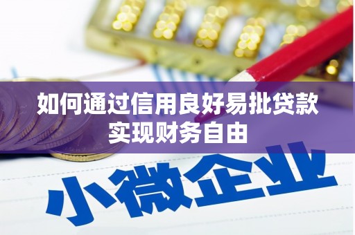 南市如何通过信用良好易批贷款实现财务自由
