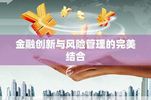 南市金融创新与风险管理的完美结合