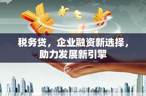 南市税务贷，企业融资新选择，助力发展新引擎