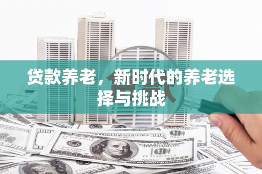 南市贷款养老，新时代的养老选择与挑战