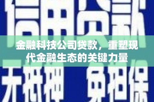 南市金融科技公司贷款，重塑现代金融生态的关键力量