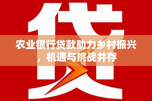 南市农业银行贷款助力乡村振兴，机遇与挑战并存