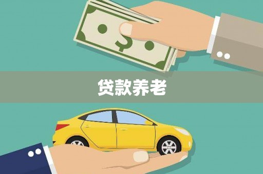 南市贷款养老