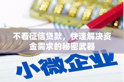 南市不看征信贷款，快速解决资金需求的秘密武器