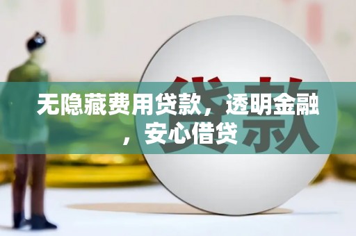 南市无隐藏费用贷款，透明金融，安心借贷