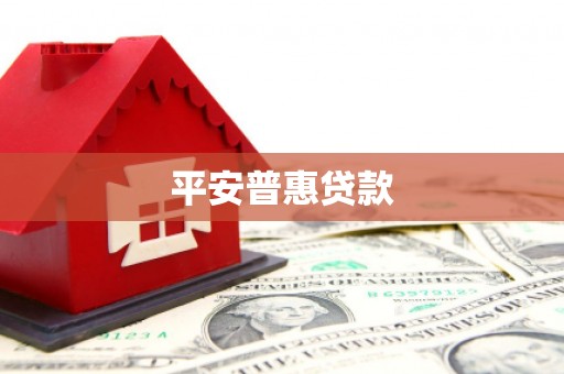 南市平安普惠贷款