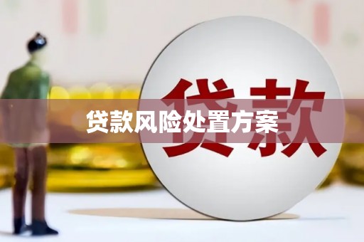 南市贷款风险处置方案