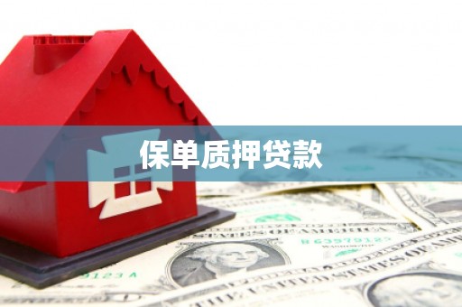 南市保单质押贷款