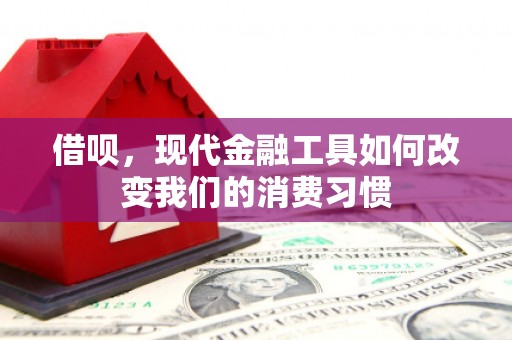 南市借呗，现代金融工具如何改变我们的消费习惯