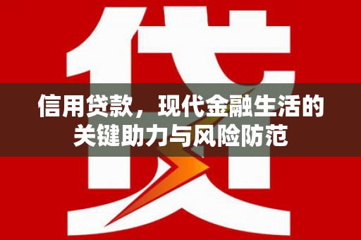 南市信用贷款，现代金融生活的关键助力与风险防范