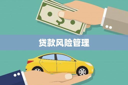 南市贷款风险管理
