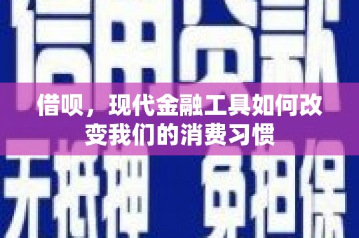 南市借呗，现代金融工具如何改变我们的消费习惯