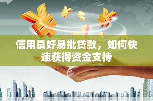 南市信用良好易批贷款，如何快速获得资金支持