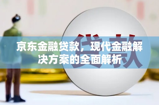南市京东金融贷款，现代金融解决方案的全面解析