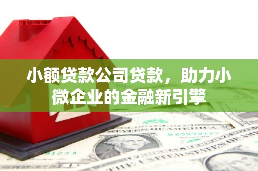 南市小额贷款公司贷款，助力小微企业的金融新引擎