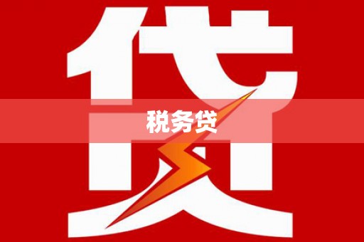 南市税务贷