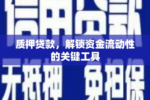南市质押贷款，解锁资金流动性的关键工具