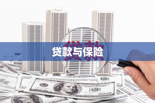 南市贷款与保险