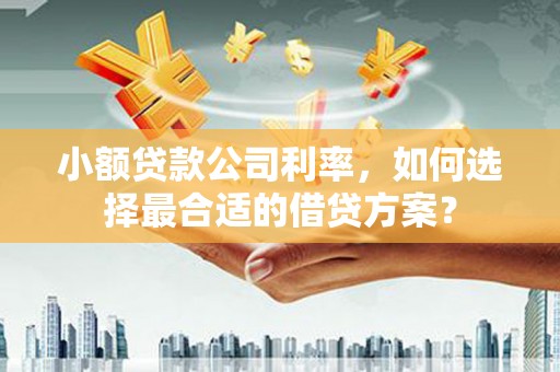 南市小额贷款公司利率，如何选择最合适的借贷方案？