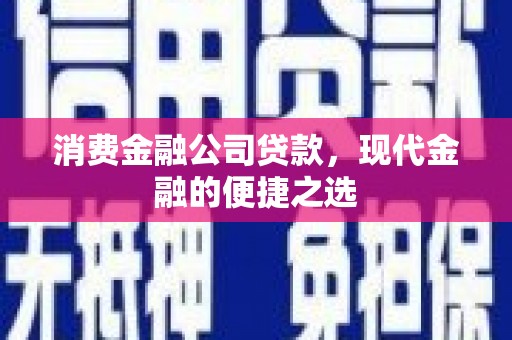 南市消费金融公司贷款，现代金融的便捷之选