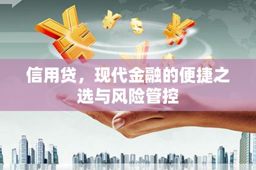 南市信用贷，现代金融的便捷之选与风险管控