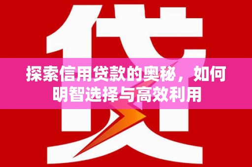 南市探索信用贷款的奥秘，如何明智选择与高效利用