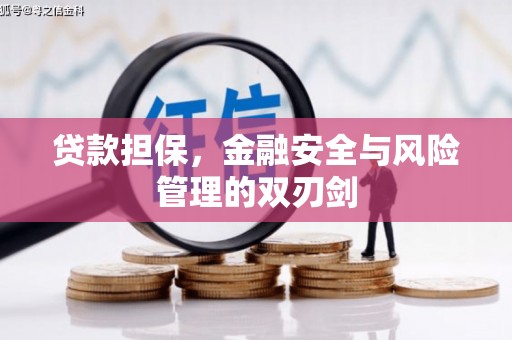 南市贷款担保，金融安全与风险管理的双刃剑