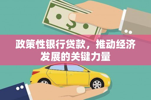 南市政策性银行贷款，推动经济发展的关键力量
