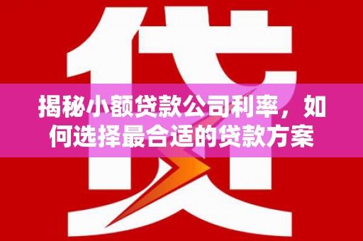 南市揭秘小额贷款公司利率，如何选择最合适的贷款方案