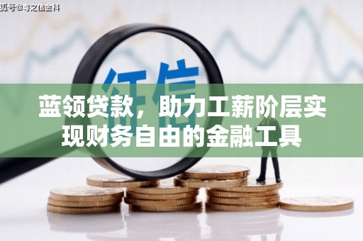 南市蓝领贷款，助力工薪阶层实现财务自由的金融工具