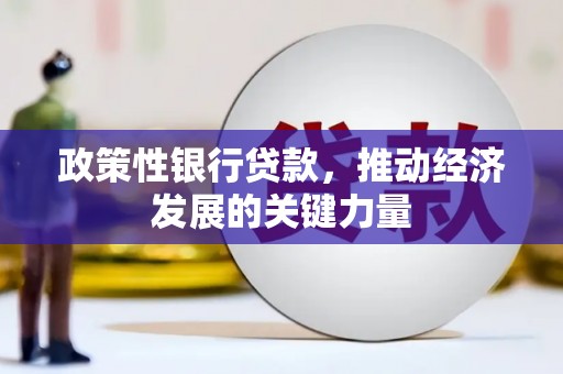 南市政策性银行贷款，推动经济发展的关键力量