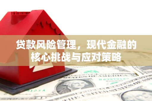 南市贷款风险管理，现代金融的核心挑战与应对策略